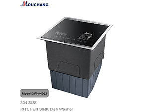 Sink dishwasher DW-V4952
